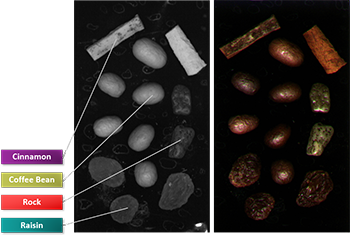 Teledyne Imaging 等短波紅外相機(jī)可以幫助檢測(cè)食品分選應(yīng)用中的水分。