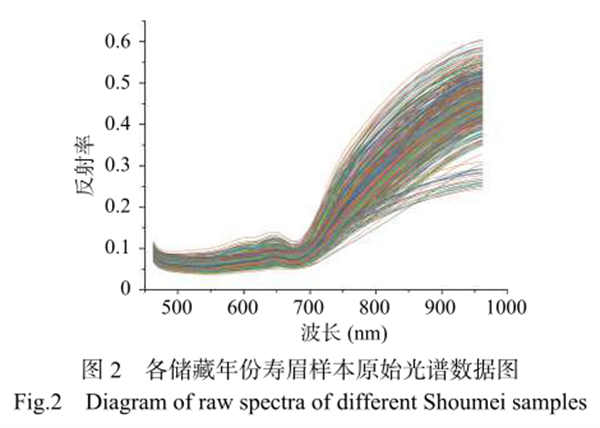 高光譜相機成像技術(shù)在白茶儲藏年份判別中的應(yīng)用2