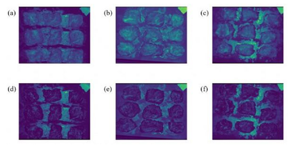 高光譜成像儀在牛肉分類中的應(yīng)用3