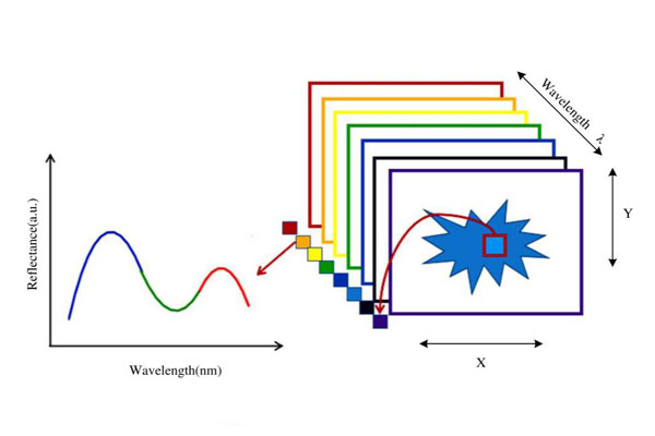 光譜數(shù)據(jù)