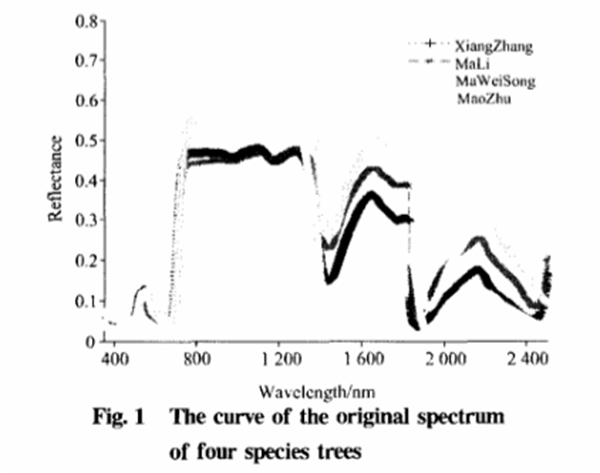 基于葉片高光譜特性分析的樹種識(shí)別方法