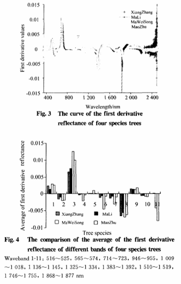 基于葉片高光譜特性分析的樹種識(shí)別方法3