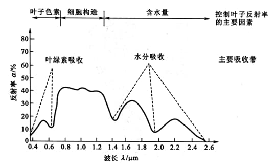 植被的光譜特性